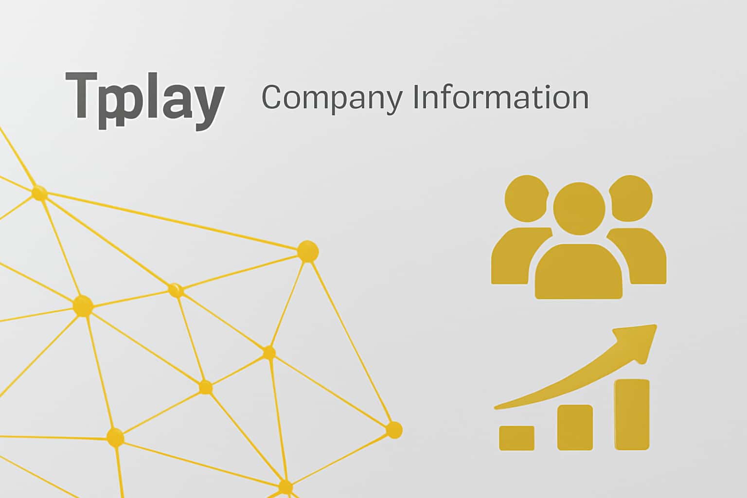 Tpplay Company Information Interface